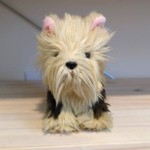 American girl Yorkie Dog 2015 Truly Me